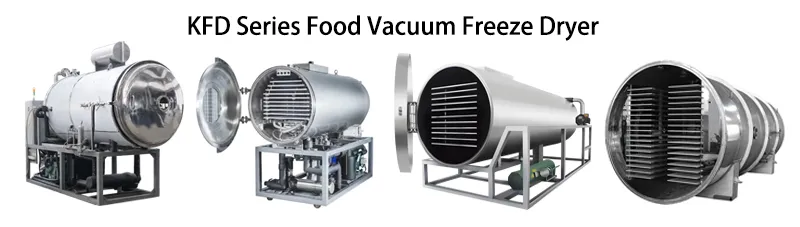 KFD Series Food Vacuum Freeze Dryer KFD Series Food Vacuum Freeze Dryer