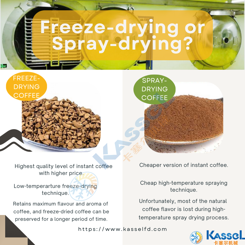 freeze dryer/freeze-dried machine/lyophilizer/vacuum freeze dryer/food freeze dryer