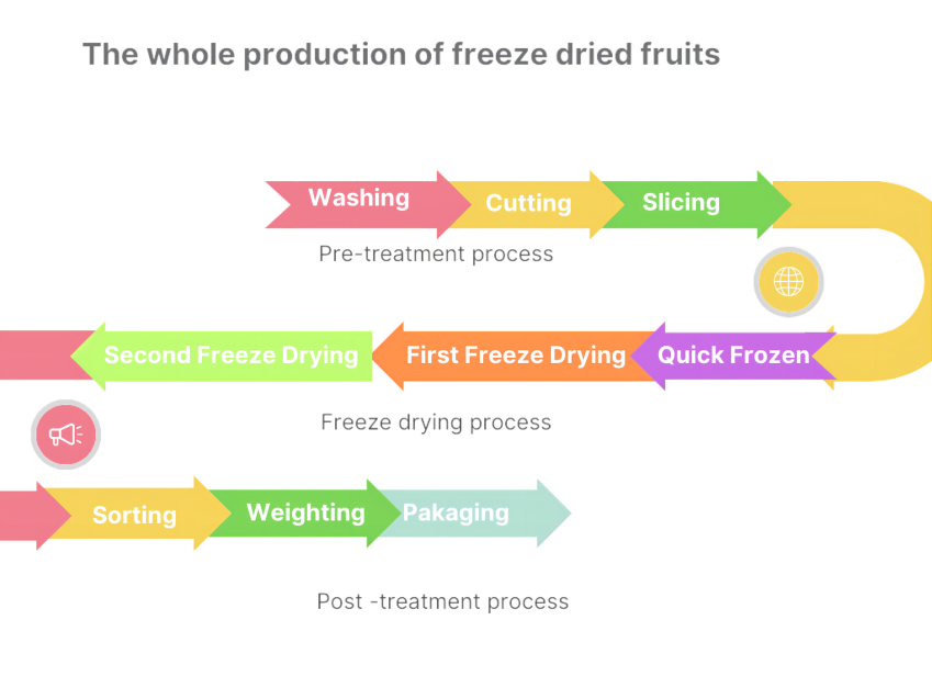 The production process of freeze dried food