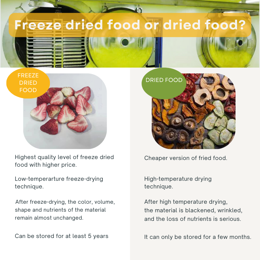 freeze drying vs drying